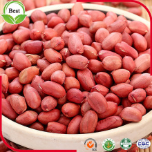 Type de rouleau Red Skin Peanut Kernels